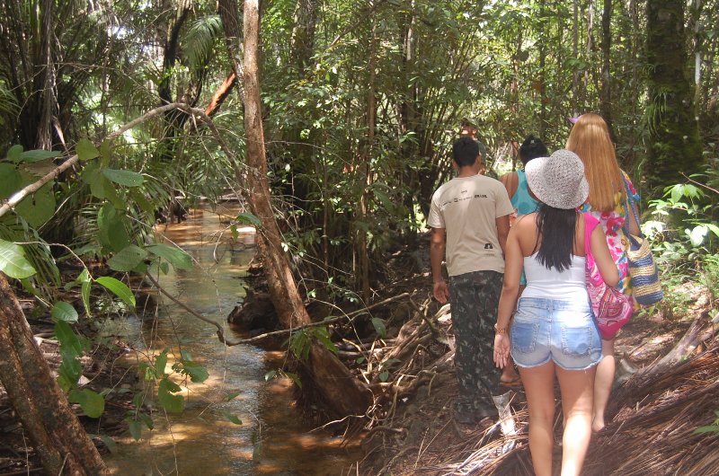 Sapiranga é opção de ecoturismo numa floresta litorânea