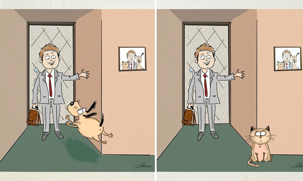 Cão ou gato? Série divertida de ilustrações mostra a diferença entre viver com um desses bichinhos
