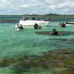 Turismo na Bahia cresce acima da média nacional; conheça os principais destinos