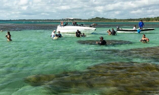 Turismo na Bahia cresce acima da média nacional; conheça os principais destinos