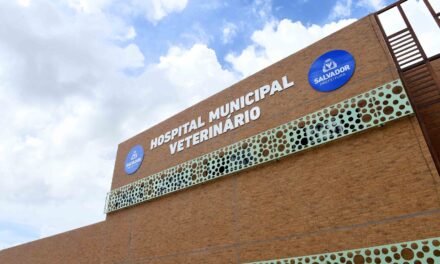 Hospital Municipal Veterinário realiza mais de 160 atendimentos no primeiro dia de funcionamento