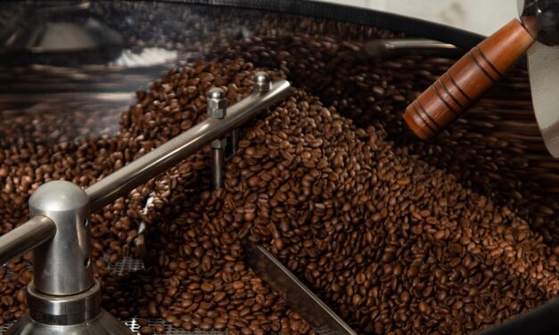 ‘Micro torrefações valorizam cafés especiais e potencializam a qualidade do grão’, explica especialista