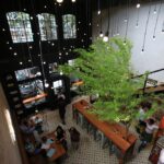 Cafeterias inovadoras e alta da demanda por Cafés especiais demonstram a versatilidade do grão secular em pleno 2024