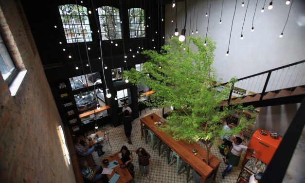 Cafeterias inovadoras e alta da demanda por Cafés especiais demonstram a versatilidade do grão secular em pleno 2024