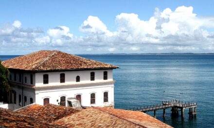 Instituto de psicologia MAAT promove experiência terapêutica gratuita no Museu de Arte Moderna da Bahia