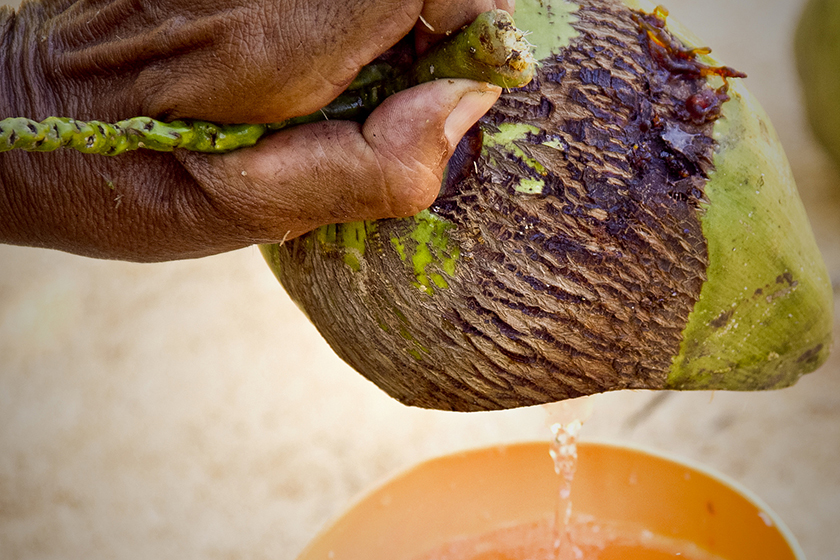 Na Bahia… água de coco engarrafada sem conservantes químicos