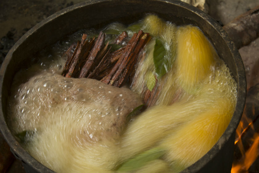 Ayahuasca: chá herdado da cultura indígena é usado em rituais religiosos