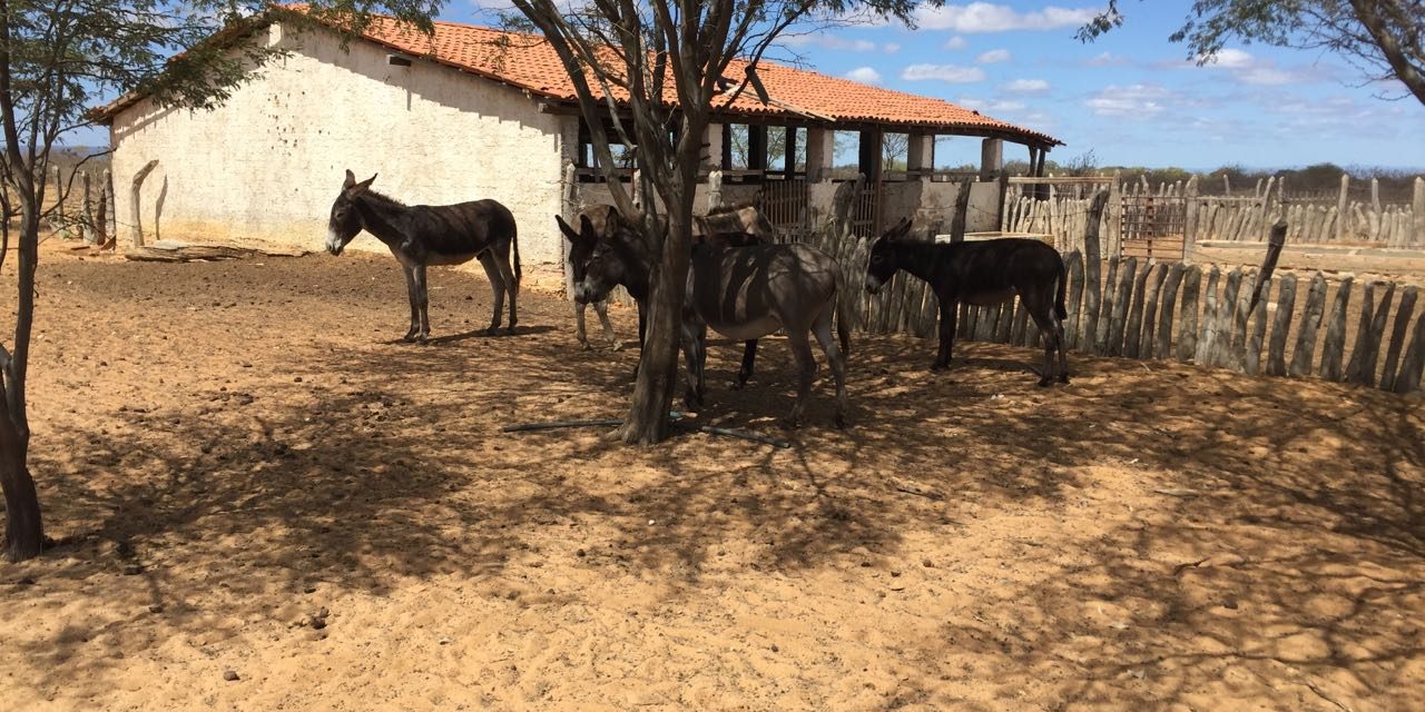 Deco Gomes estreia na nossa coluna ‘Pe na Estrada’