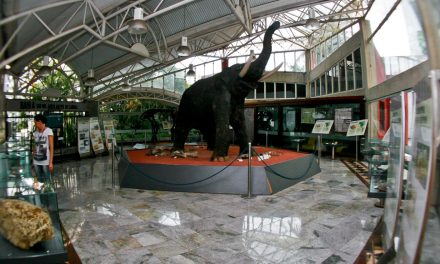 Museu Geológico da Bahia completa 46 anos com acervo que revela mundo mágico e descobertas fantásticas