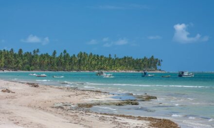 Conheça cinco belas estradas do litoral brasileiro