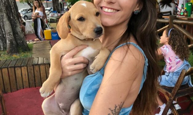 Brecho for Fashion com feira de adoção de animais acontece neste sábado no Mariposa Itaigara