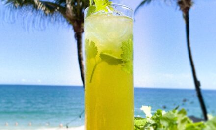 Conheça 10 novos drinks do Blue Praia inspirados nas tradicionais “budegas”
