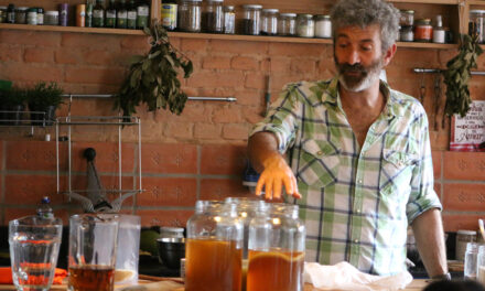 Guru mundial da fermentação natural vem a Ilhéus compartilhar seus conhecimentos