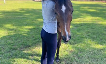 Ana Castela publica foto ao lado de seu cavalo e encanta fãs