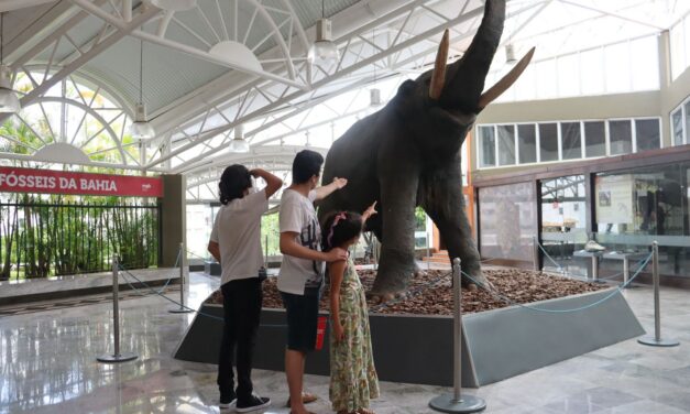 Museu Geológico da Bahia é excelente opção para o Dia das Crianças