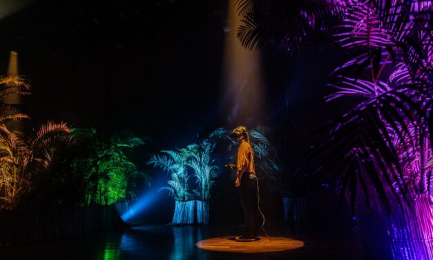 Exposição “Floresta Encantada” estreia na CAIXA Cultural Salvador