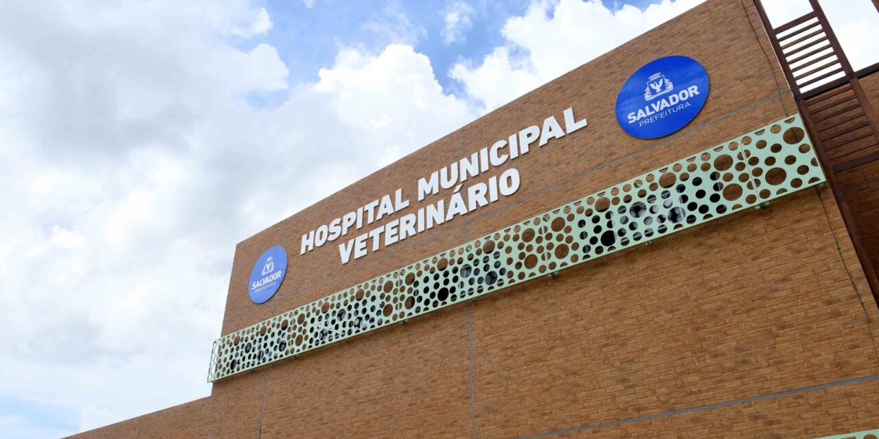 Hospital Municipal Veterinário realiza mais de 160 atendimentos no primeiro dia de funcionamento