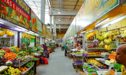 Dois de Julho: Ceasa tem funcionamento normal e mercados administrados pela SDE terão fechamento antecipado