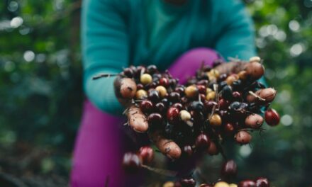 ‘Experiência além da xícara’: Festival Baiano de Cafés inicia venda de ingressos para edição 2025