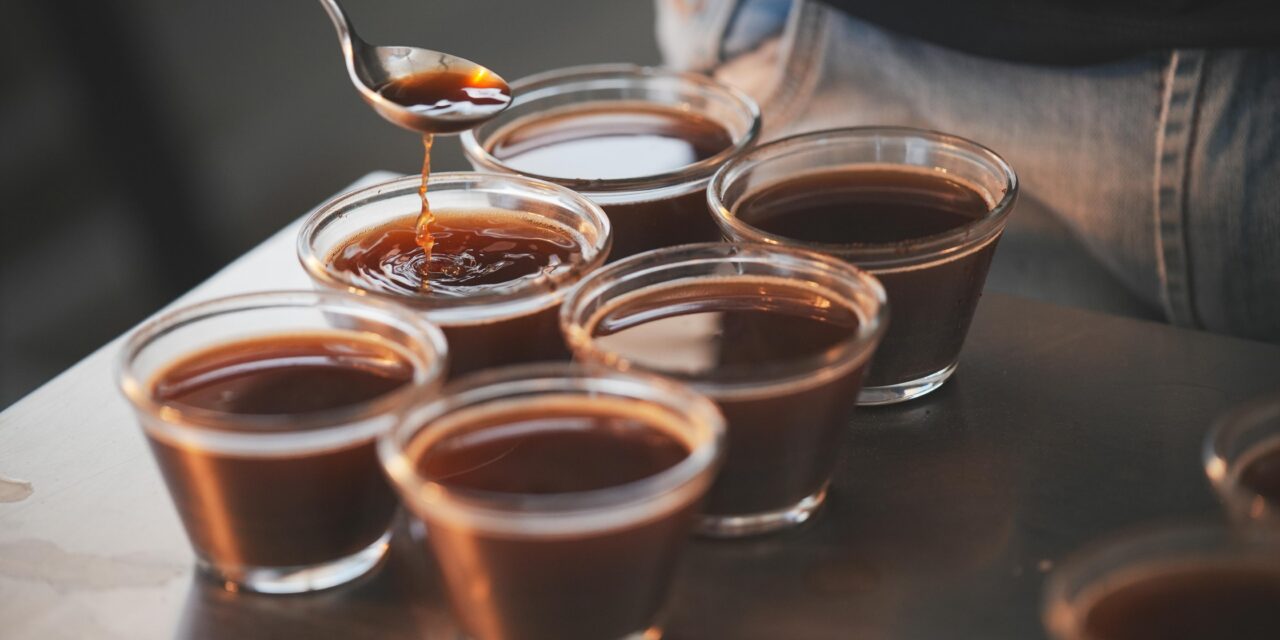 Especialistas apontam: ‘futuro do café baiano está na conexão e origem’