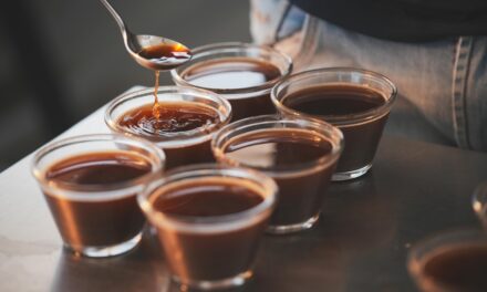 Especialistas apontam: ‘futuro do café baiano está na conexão e origem’