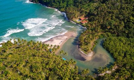 Cozinha Show, Vila do Chocolate e pratos promocionais: saiba o que vai rolar no Festival Sabores de Itacaré