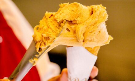 Crema Gelato reabre unidade do Rio Vermelho com visual renovado e menu ampliado