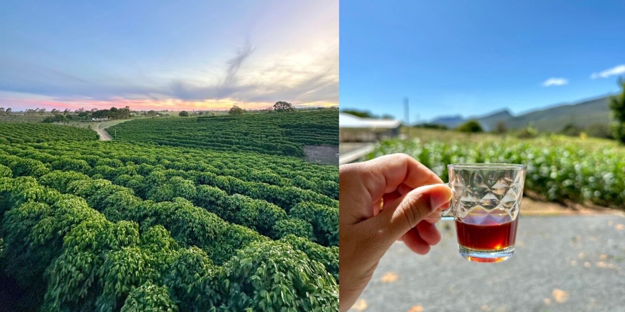 Roteiro turístico une café especial, natureza e experiências exclusivas no interior da Bahia