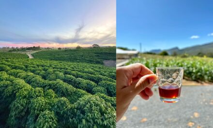 Roteiro turístico une café especial, natureza e experiências exclusivas no interior da Bahia