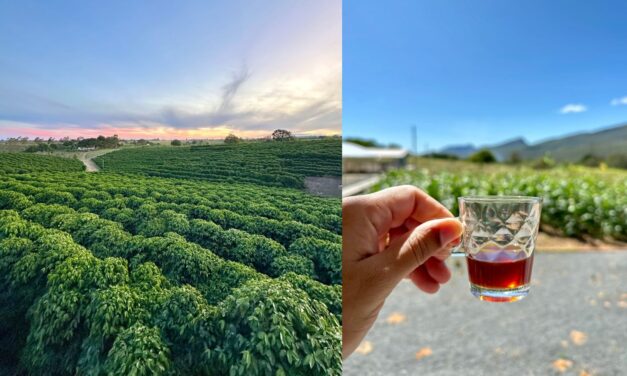 Roteiro turístico une café especial, natureza e experiências exclusivas no interior da Bahia